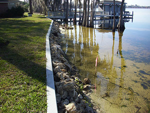 Crawford Seawall