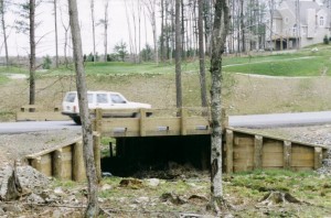 Vehicle Bridges In Orlando FL