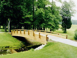 Custom Bridge Orlando FL