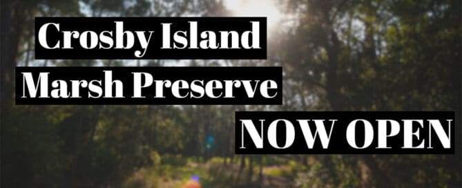 crosby island marsh preserve