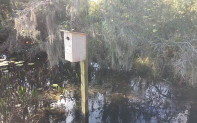 Dwell at Lake Nona by Fender Marine Construction Dock and Covered Deck with Fender Marine built and installed Wood Duck Nesting Box