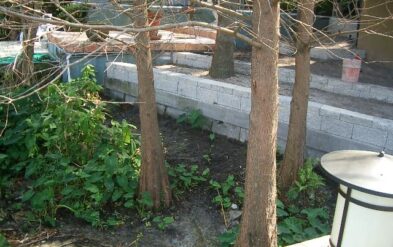 Precast Concrete Sheet Pile Seawall on Lake Highland Finished Condition by Fender Marine Construction in Orlando